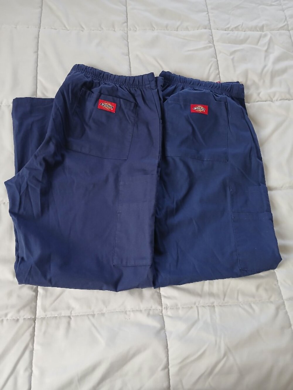 Dickies Set of Srub Pants